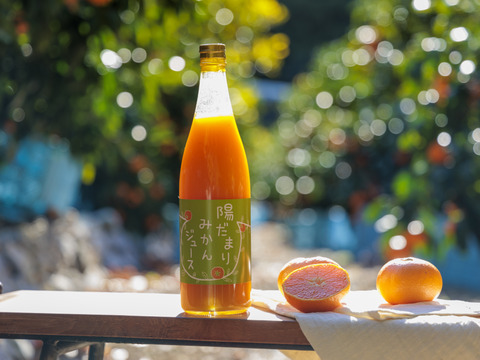 【お得な12本セット♪】陽だまりファーム  三ヶ日青島みかんジュース ストレート100％（720ml×12本）