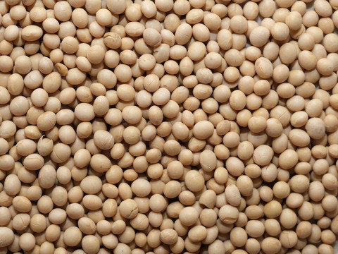 【農薬・化学肥料不使用】MOA自然農法で育った大豆1kg