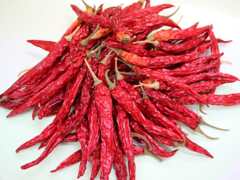 数量限定 激辛 国産乾燥唐辛子 100g 佐賀県産 食べチョク 農家 漁師の産直ネット通販 旬の食材を生産者直送