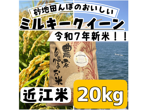 【令和7年新米】【玄米】 『ミルキークイーン20kg』冷めてもおいしい！圧倒的なもっちり感と強い甘みが特徴！おにぎりやお弁当にも最適！