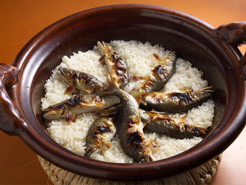 【2023販売開始】天然鮎/鳥取市千代川/網/朝水揚げ→午前中発送/夏を感じてください/300g〜400g【生】【冷蔵】