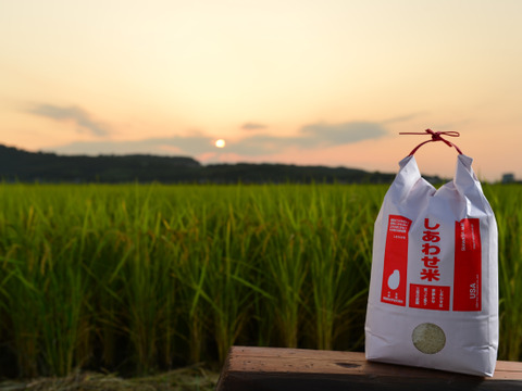 自然栽培のしあわせ米『玄米』20kg