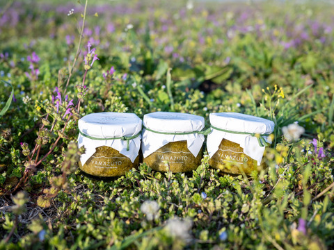 ルッコラの風味とくるみのコクが特徴！ルッコラのジェノベーゼソース【100g】