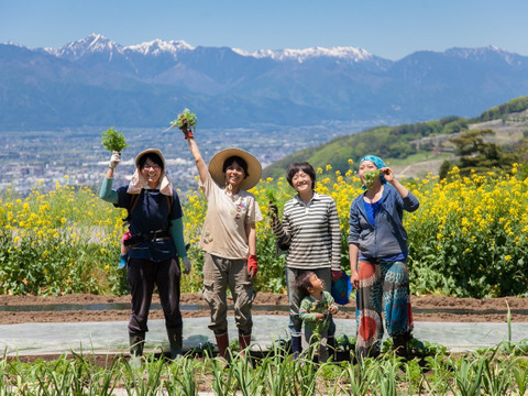 信州育ち☆心と身体が喜ぶ【むすび野菜なごみセット6-7品目】