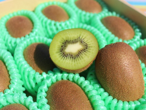 農薬・化学肥料不使用！スッキリとした甘さと酸味のグリーンキウイ(33玉から36玉)