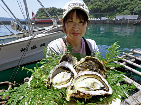 【夏限定】超絶クリーミー　海の練乳！
錦盛丸岩牡蠣セット200~300g（10個入り）