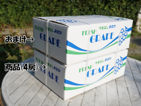 【当店で残り5箱！】今だけおまけでB級品プレゼント！！【総重量2.5kg以上！】平井利右衛門の青ぶどう(シャインマスカット/4房)