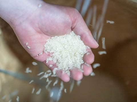 新米！＜15年連続最高評価特A受賞＞令和7年 さがびより 5kg（白米）