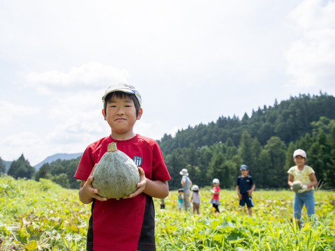 【食べチョク限定】ゆたかわファーム 東三河の季節の野菜セット7品（農薬・化学肥料不使用）