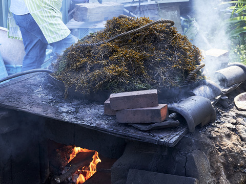 【冬ギフト】海の宝箱セット(鉄釜ひじき・わかめグラノーラ・大人のセレクトおやつ)帰省の手土産やお祝いに