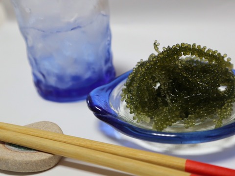 【夜市限定】20%増量　✴︎人気No.1✴︎生海ぶどう(茎付き) 1kg →1.2kg