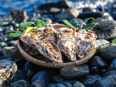 【天皇杯受賞】殻付き牡蠣（加熱用）～戸倉っこかき～20個