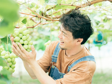 【夏ギフト】お得な家庭用！果汁溢れる甘〜いピオーネ2kg（4〜5房）（熨斗対応可）