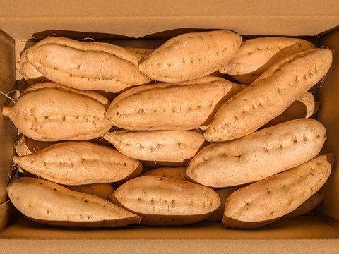 栗こがねＳ～Lサイズ（５㌔）