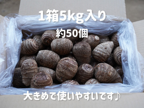 【農薬・化学肥料不使用】ねっとり里芋（土垂）大サイズ　5kg