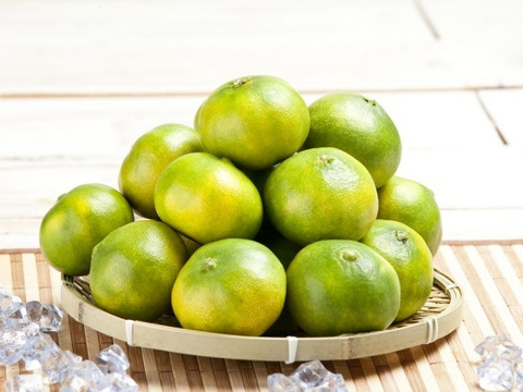 果汁たっぷり！熊本極早生みかん『豊福』7ｋｇ（10/31まで）