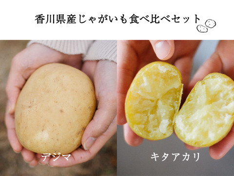 香川県産ジャガイモ食べ比べ（デジマ・キタアカリ）1.8kg