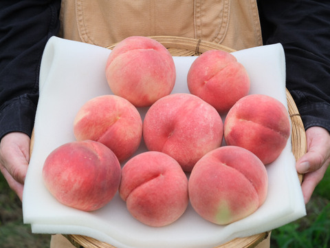 【贅沢な一杯】2本セット 100％桃しぼりジュース「しふく」桃の果汁だけで作った希少な桃ジュース