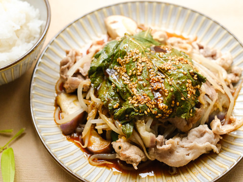朝採れ!シャキシャキの食感。美味しい 新鮮「えごま」の葉【お試しサイズ５０枚】