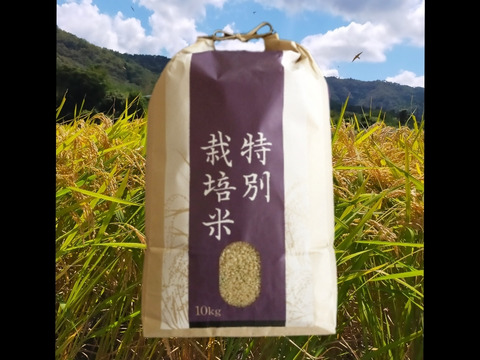 京都の料亭御用達【玄米】20kg 　コシヒカリ　特別栽培米 令和4年産 京丹波産 一等米