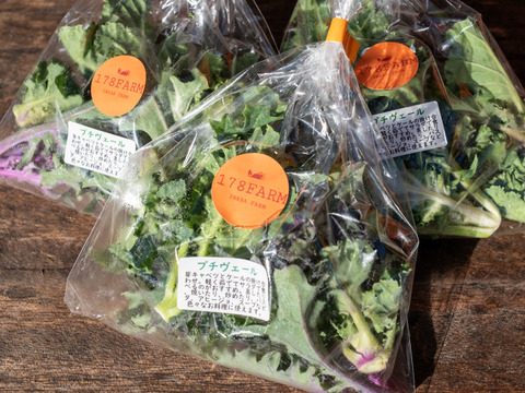 冬の恵 「プチヴェール」2〜3種ミックス80g×5袋