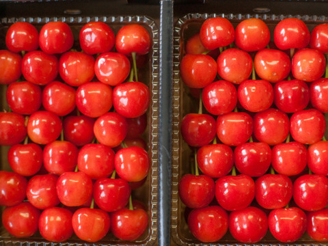 山形県産さくらんぼ　佐藤錦　1kg