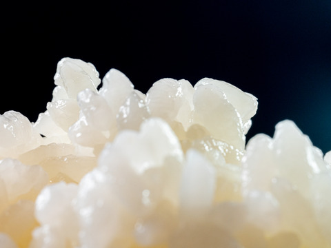 新潟県産純米コシヒカリ おためし2kg【令和7年産 新米🌾】【お歳暮も承ります】