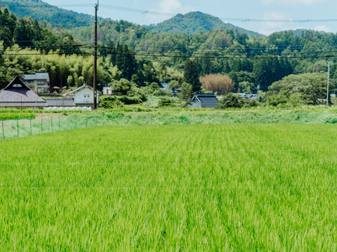 「有機JAS認証　丹波篠山アイガモ米」こしひかり玄米５Kg