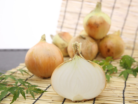 淡路島産玉ねぎ　3kg　Awaji Fancy Onion