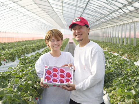 【お歳暮・ギフト用】奈良ブランド「古都華」M（22～30粒）/箱　いちご　苺