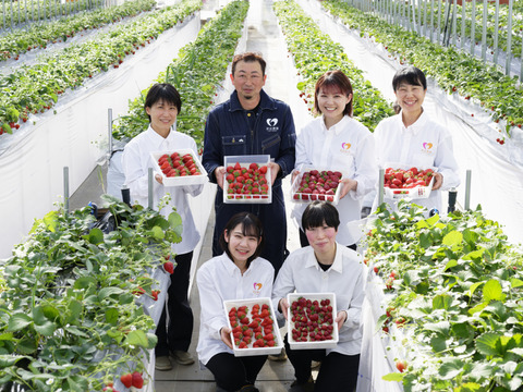 冷凍いちご　魅惑の黒いちご「真紅の美鈴」