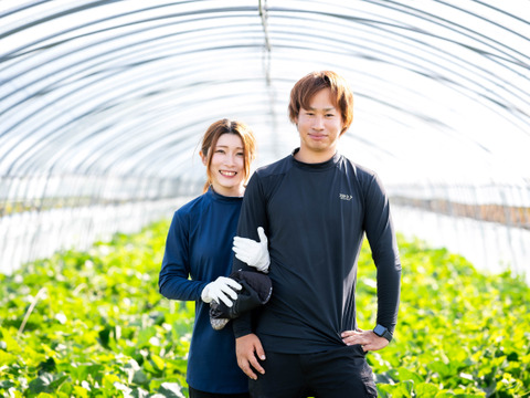 レノンメロン1.2キロ以上2玉