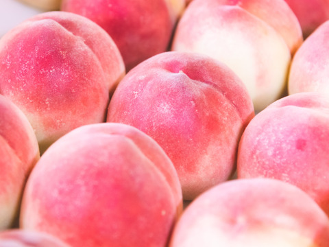 【夏ギフト】山梨桃専業農家が暑い夏を届けます!　真夏桃　3kg