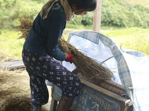 令和7年新米🌾旭1号🌾玄米10kg
自然栽培　熊本県菊池産