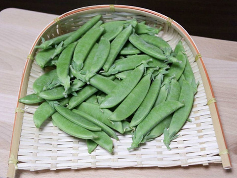 旬の春野菜セット　 鹿児島県指宿産 スナップエンドウ＋グリーンピース＋オクラ 農家直送