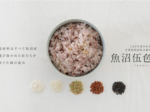 【R7年産】全素材魚沼産五穀米「魚沼伍色-うおぬまごしき-」300g×10個真空パックセット　無洗米