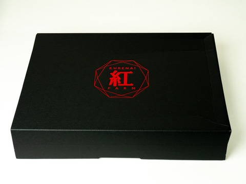 【冬ギフト】とちおとめ・とちあいか食べ比べセット