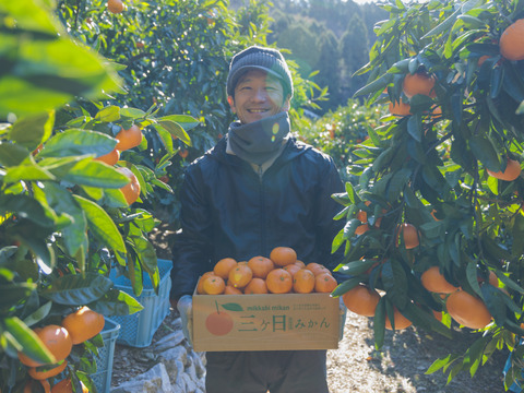 貯蔵熟成　三ヶ日みかん　【約５㎏】青島みかん　Mサイズ　陽だまりファーム
