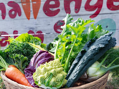 【淡路島産】冬ギフト_旬の冬野菜セット！ 6~7種詰め合わせ