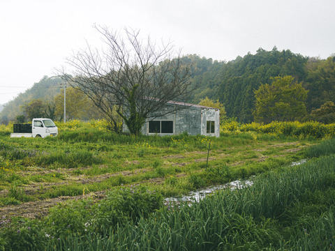 ＜有機たまねぎ 3kg＞農薬化学肥料不使用・静岡県産