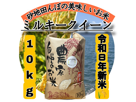 令和8年新米】【白米】 『ミルキークイーン10kg』冷めてもおいしい