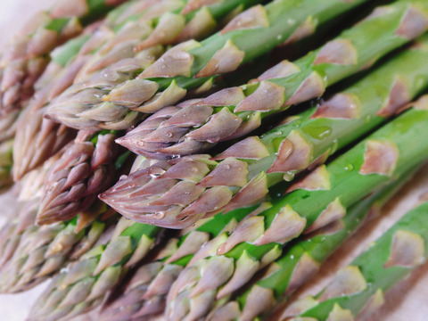富良野産グリーンアスパラ（M-2L混合サイズ・800g）