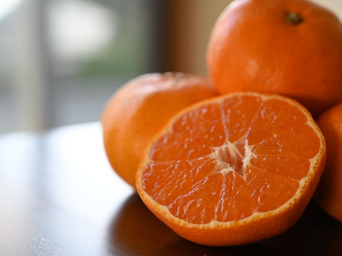 三ヶ日青島みかん 大玉・ご家庭用10kg