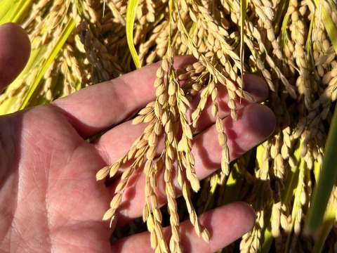 【無添加】醤油麹 450ml