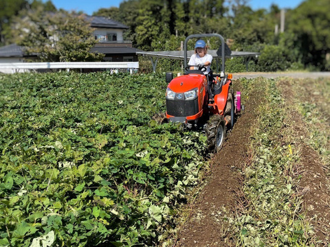 【ギフト】熟成蜜芋!!ねっとり甘い♪半熟スイートポテト 120ｇ×6個 「熨斗・ラッピング対応可」