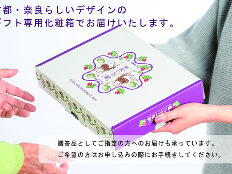 ”完熟いちご 古都華” 8～15粒（270～320ｇ）×2パック　贈答用ギフトケース入り
