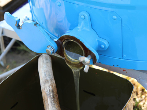 ザ！はちみつ🐝オリジナルブレンド蜂蜜~百花(600gビン) 和歌山・村上養蜂 ほんまもん生蜂蜜　非加熱