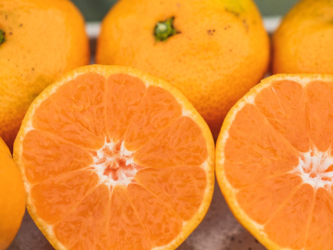 見た目じゃないの‼️訳あり温州みかん5kg