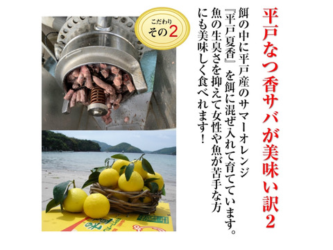 青空レストランで紹介されたフルーツ魚
平戸なつ香サバ（約500ｇ×4尾）三枚おろし 【さばき方＆魚レシピ付き】【熨斗対応可】
