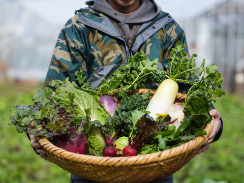 こだわり！ふるるの冬野菜セット10種程度・5㎏